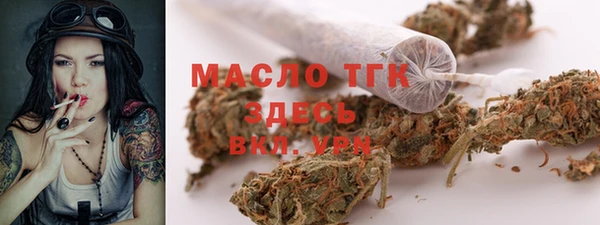 прущие крисы Бородино