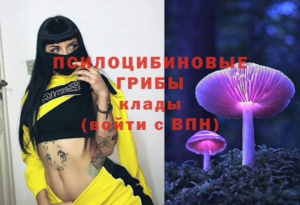 прущие крисы Бородино
