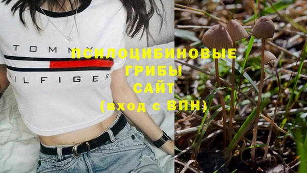 прущие крисы Снежногорск