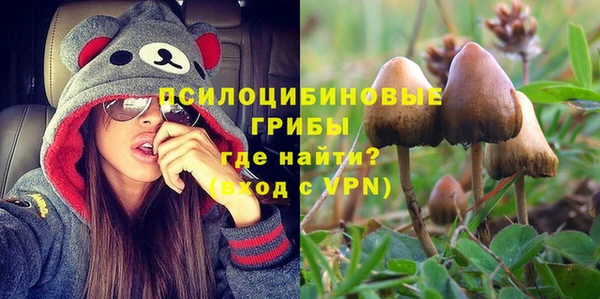 прущие крисы Бородино
