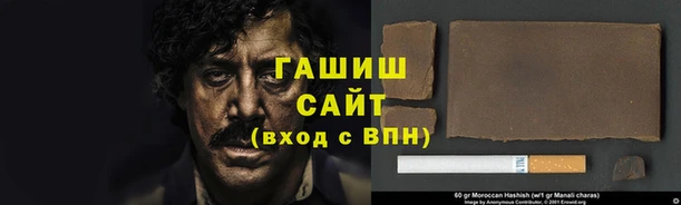 прущие крисы Бородино