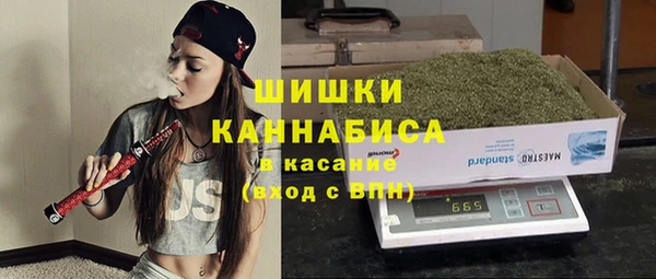 прущие крисы Бородино